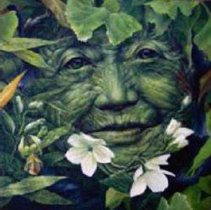 vibratia terrei - Decembrie 2012-arhiva