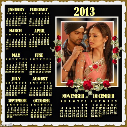 radhikazaara - Cine vrea calendar 2013