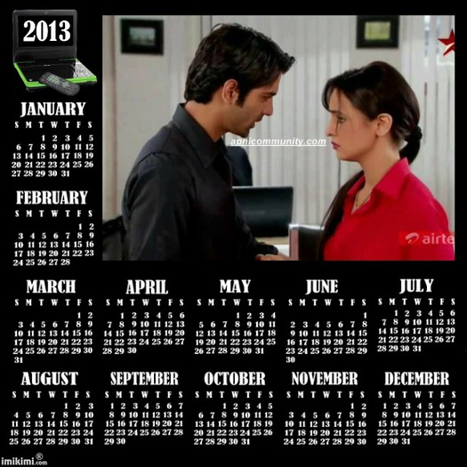 radhikazaara - Cine vrea calendar 2013