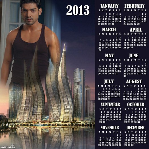 radhikazaara - Cine vrea calendar 2013