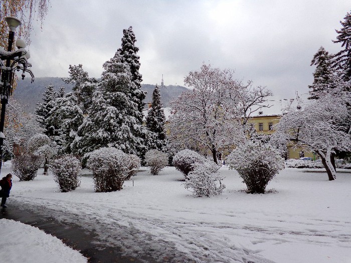 DSC00438-001 - Prima zapada la Brasov de Sf Nicolae 2012