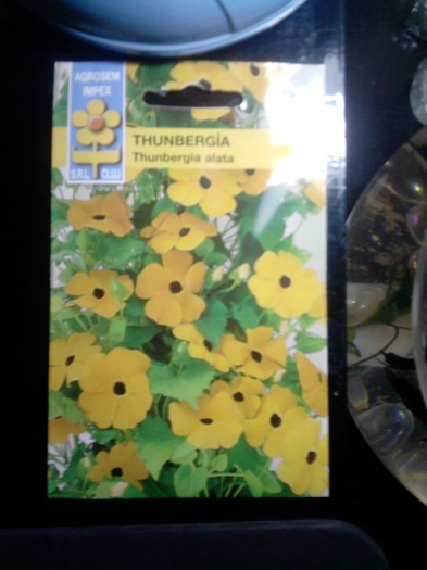 thumbergia - seminte si bulbi achizitii pt 2013