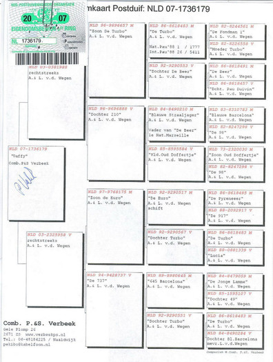 58 NL 07 - 1736179 F DAFFY PED - 5 -Pedigree