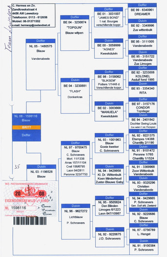 11 NL 08 - 1598116 M BRITT PED - 5 -Pedigree