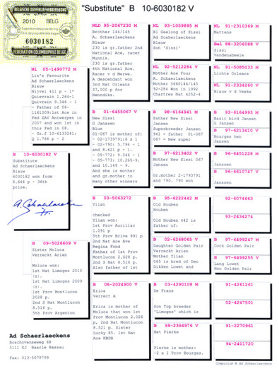 182 - 5 -Pedigree