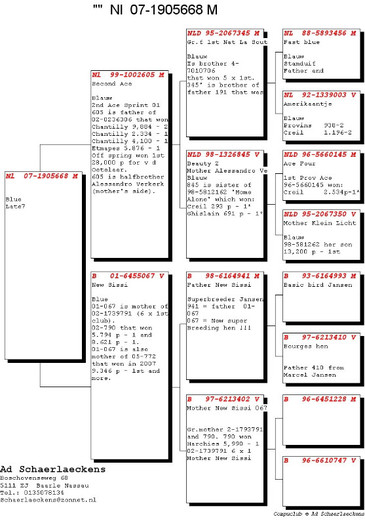 668 - 5 -Pedigree