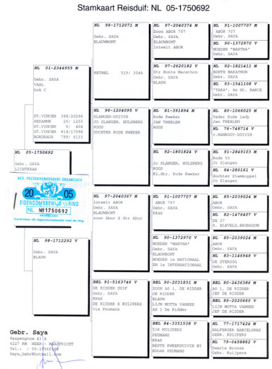 Untitled-1(1) - 5 -Pedigree