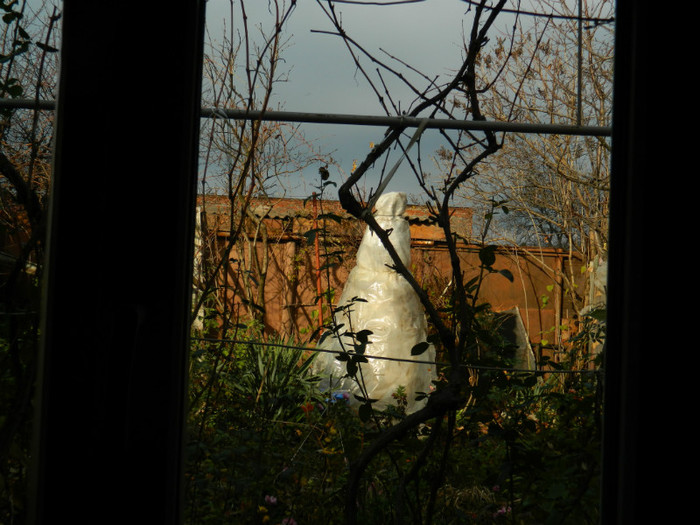 DSCN3261 - DECEMBRIE 2012