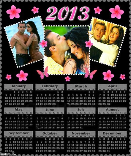 ely13 - Cine vrea calendar 2013