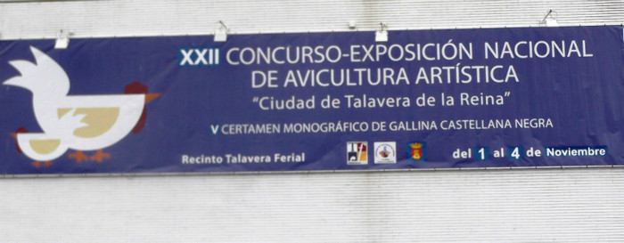 DSCF1819 - expo Talavera
