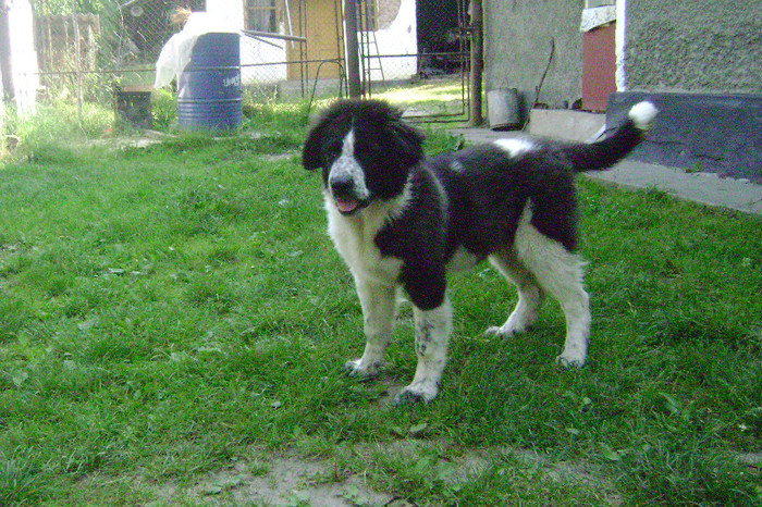 Cora in tineretele ei