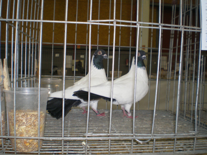 P1010036
