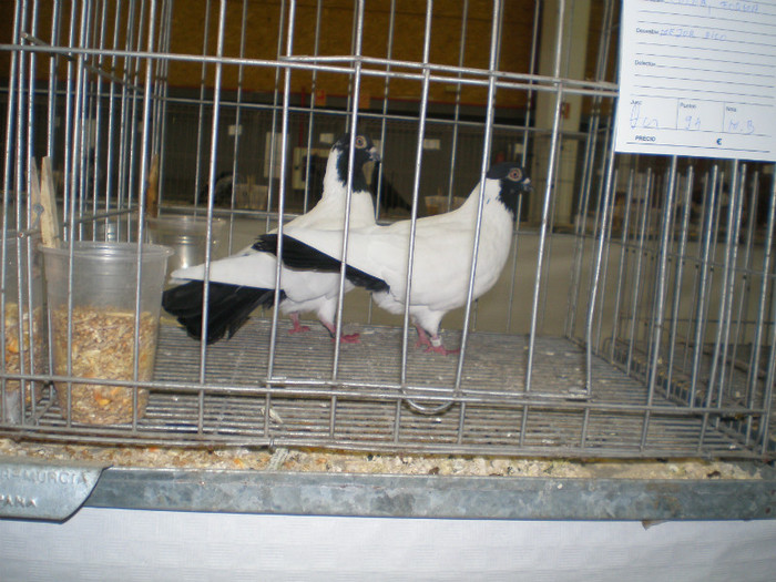 P1010037