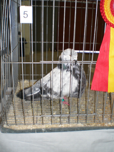 P1010008