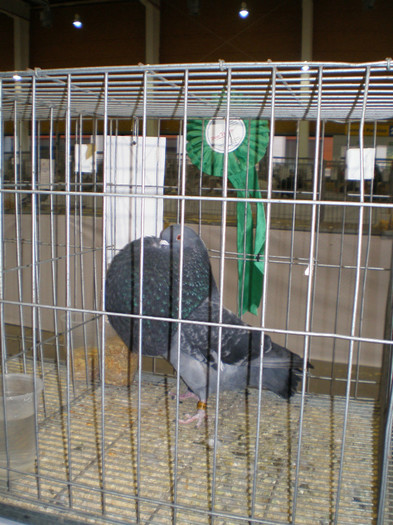 P1010014