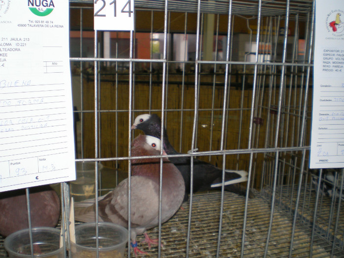 P1010080