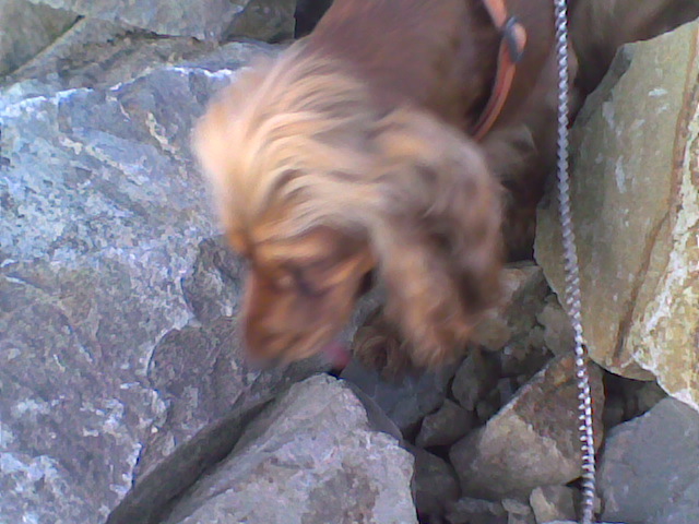 Imag018 - Boggy