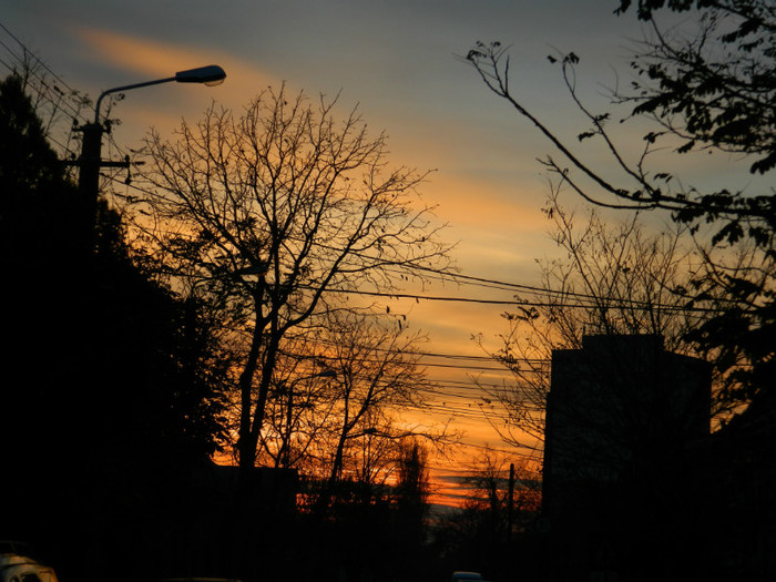 DSCN2482