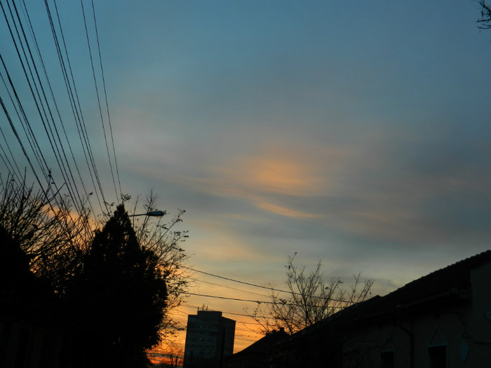 DSCN2485