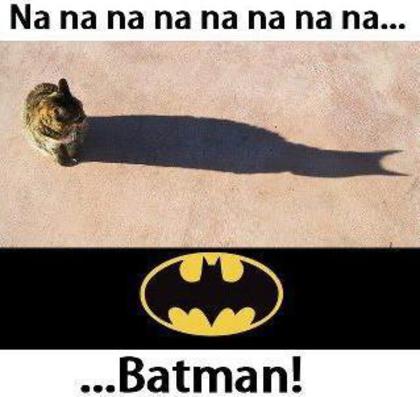 uuuu!!!! - poze haioase