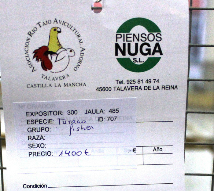IMG_4989 - expo Talavera