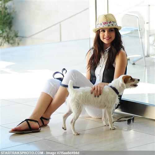 73220_338960516201287_161755498_n