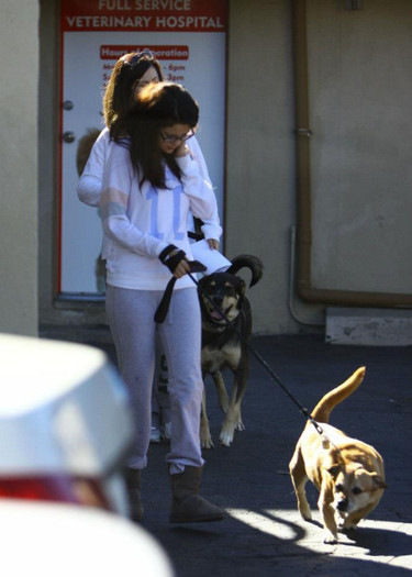 61463_338145879616084_795449053_n - Selena Gomez and her mother veterinary output