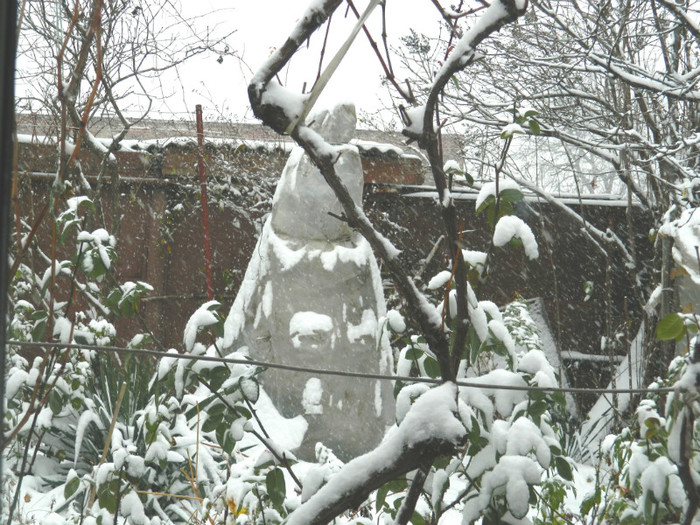 DSCN3329 - DECEMBRIE 2012