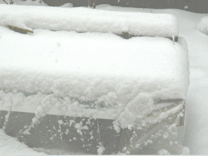 DSCN3375 - DECEMBRIE 2012