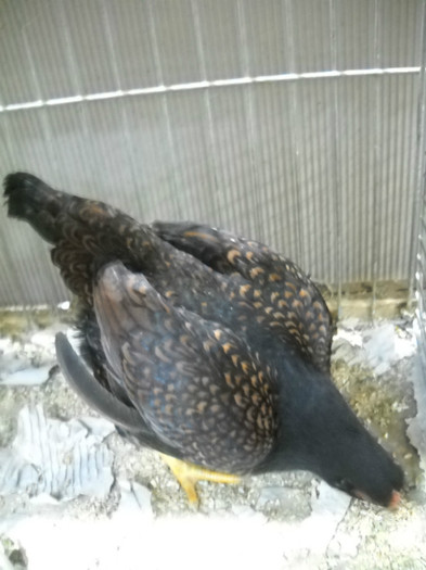 DSCN4013