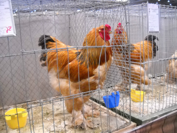 DSCN4091