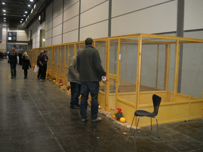 DSCN4232 - pasari Leipzig dec 2012