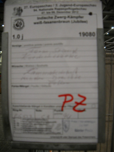 DSCN4258 - pasari Leipzig dec 2012