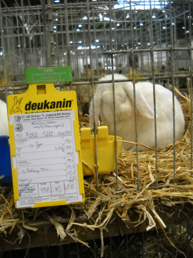 DSCN3837 - iepuri Leipzig dec 2012