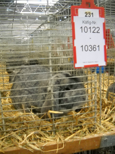 DSCN3839 - iepuri Leipzig dec 2012