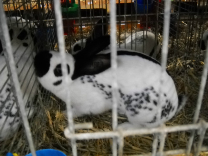 DSCN3881