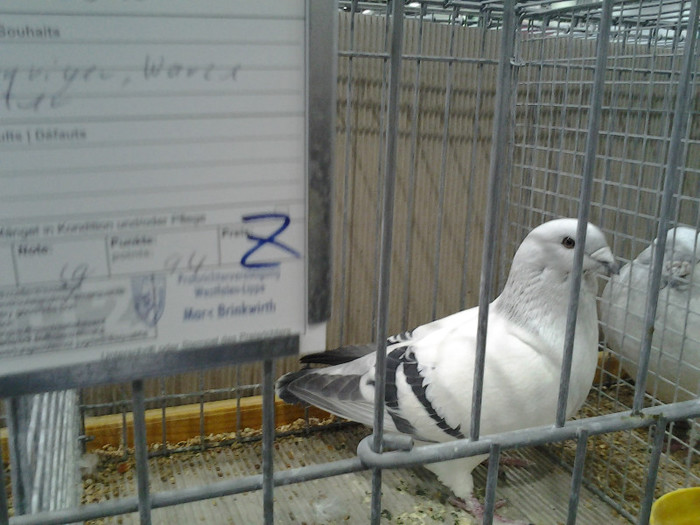 2012-12-07 15.01.12; romania
