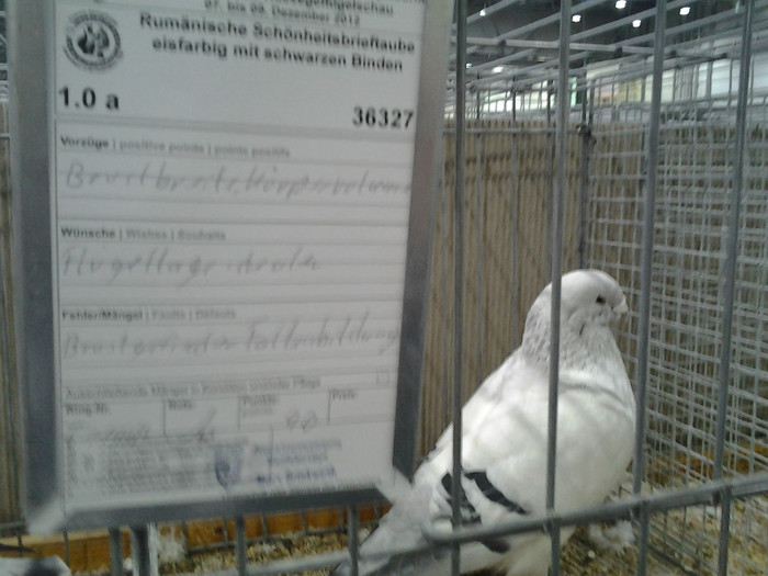 2012-12-07 15.01.47; romania
