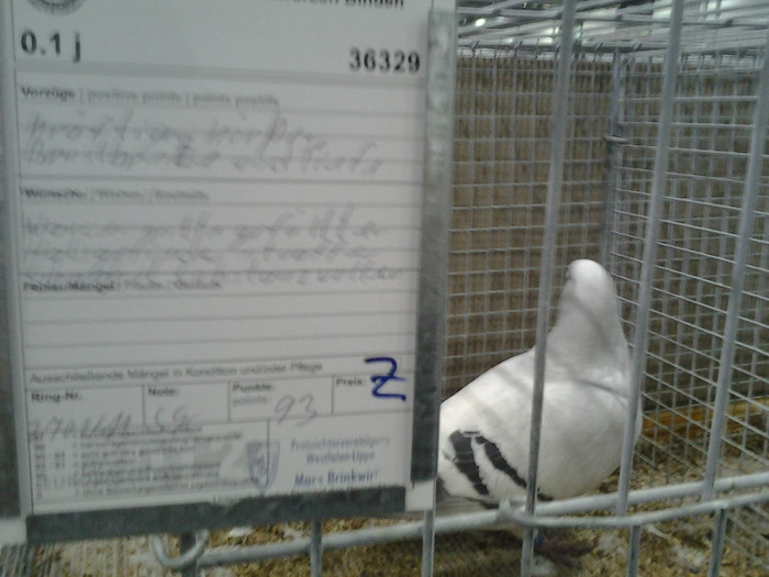 2012-12-07 15.02.03; romania
