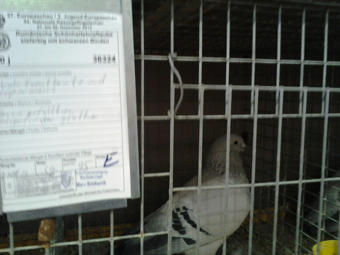 2012-12-07 15.03.57