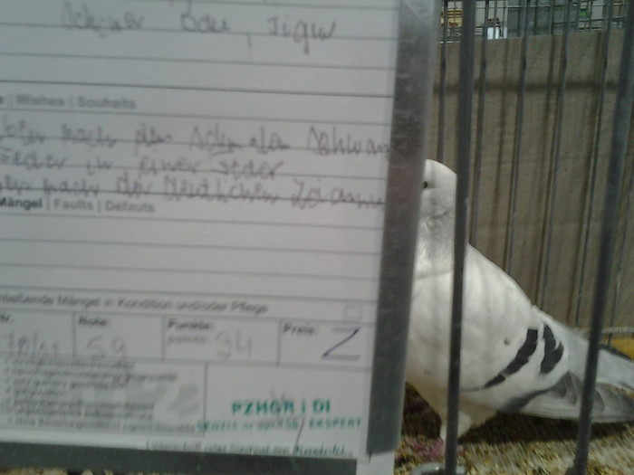 2012-12-07 15.10.21; polonia

