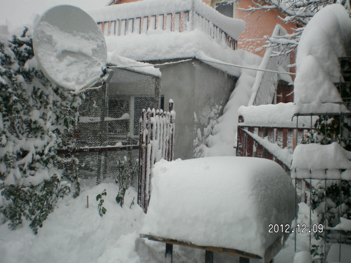 SANY4059 - Ningeee in TM  a venit iarna
