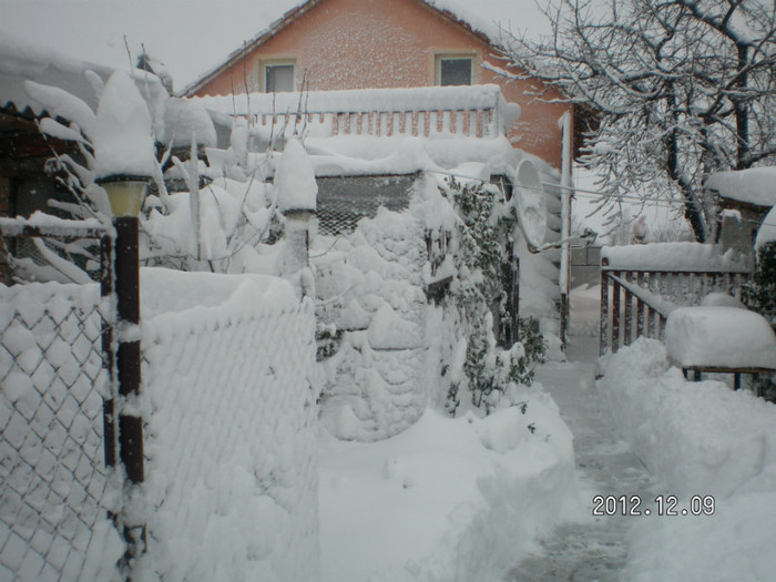 SANY4061 - Ningeee in TM  a venit iarna