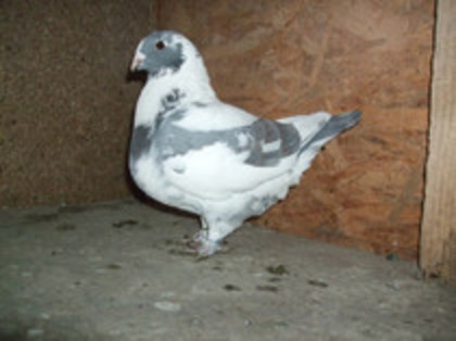 f 2012