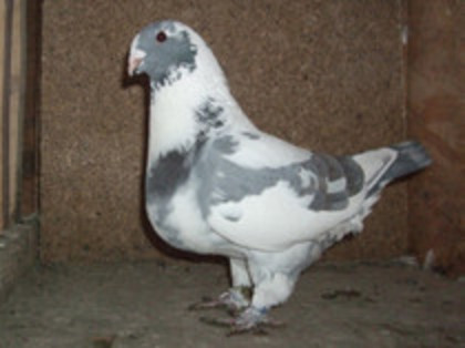 f 2012