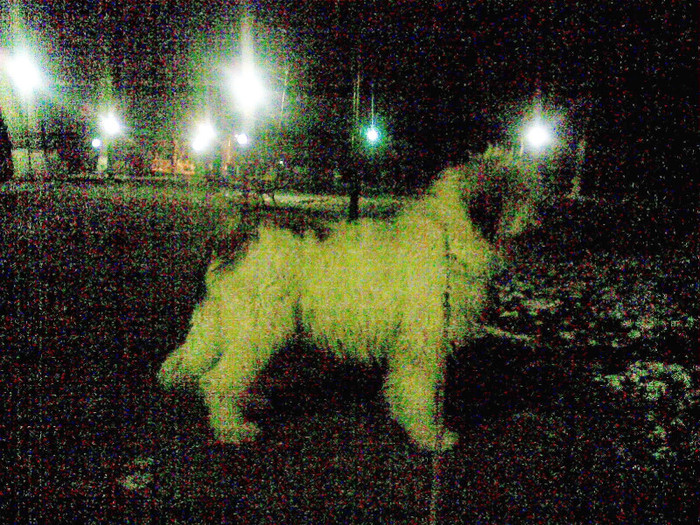 INAINTE DE FATARE CU 2 SAPTAMANI