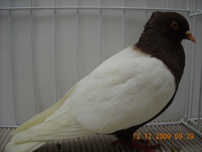 DSCN0171