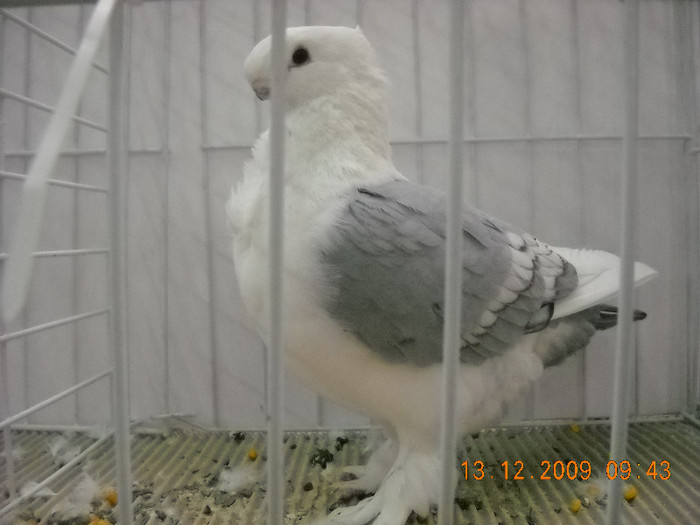 DSCN0184
