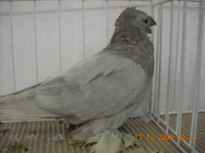 DSCN0190