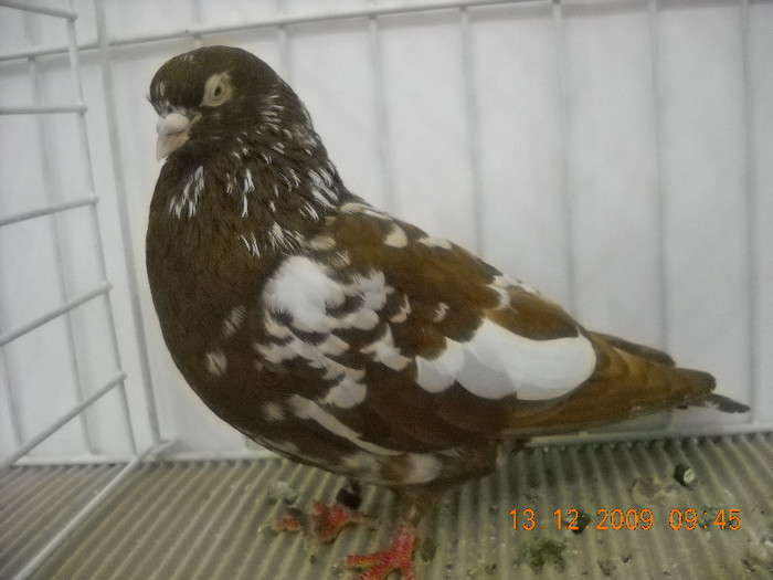 DSCN0192
